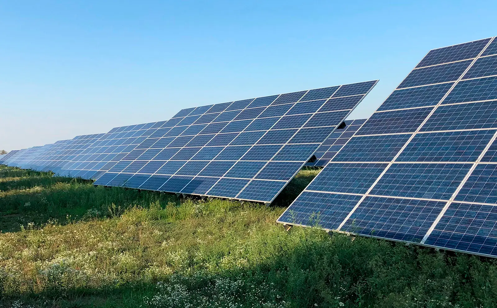 Deja de pagar la luz. Empieza a producirla.